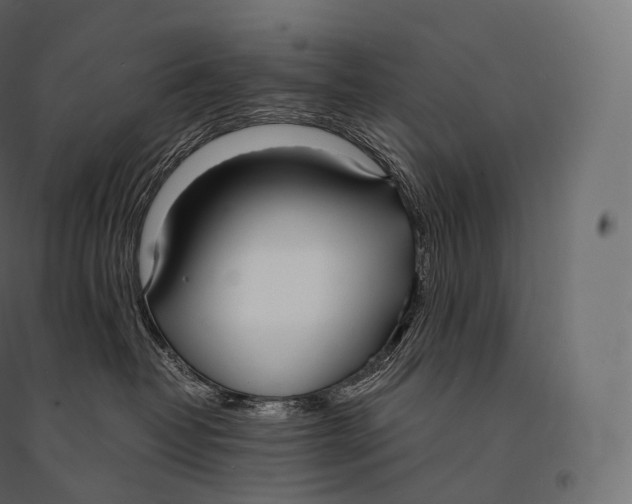 X0000094360382200711241942