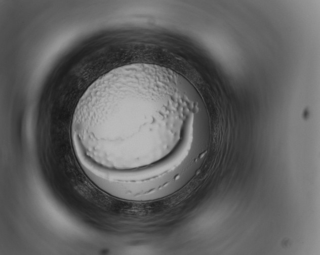 X0000094360383200711241942