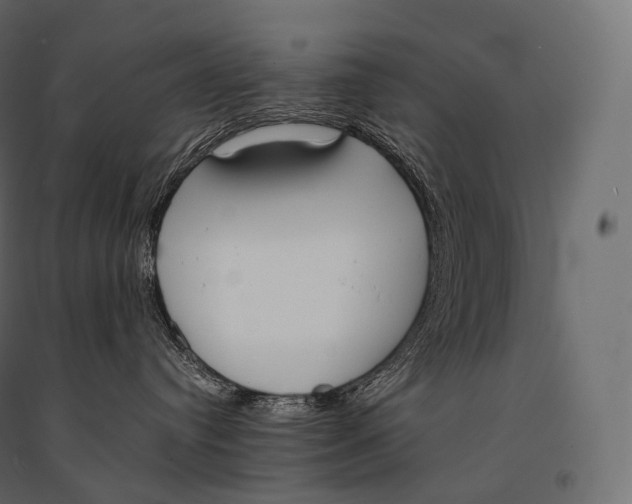 X0000094360384200711241942