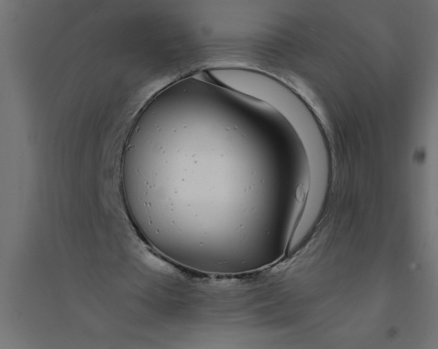 X0000094360385200711241942