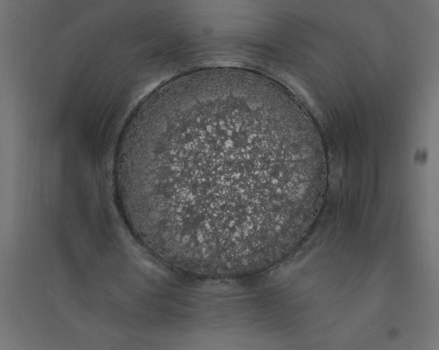 X0000094360386200711241942
