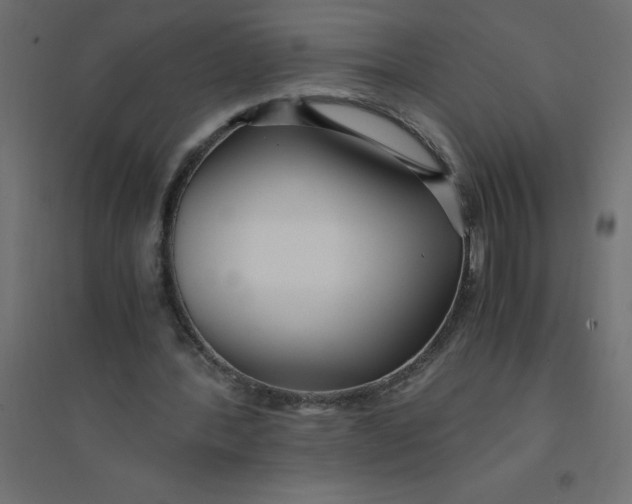 X0000094360388200711241942