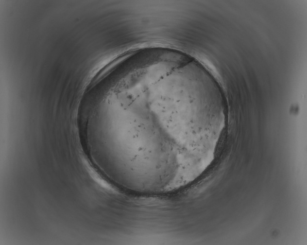 X0000094360389200711241942