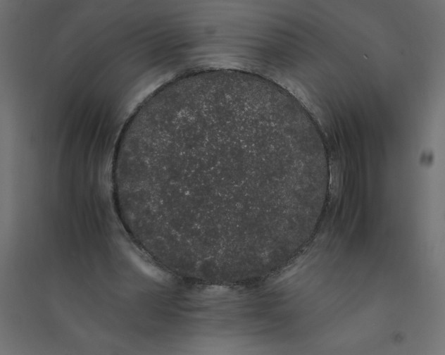 X0000094360390200711241942
