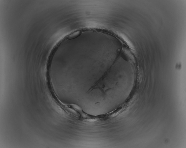 X0000094360391200711241942