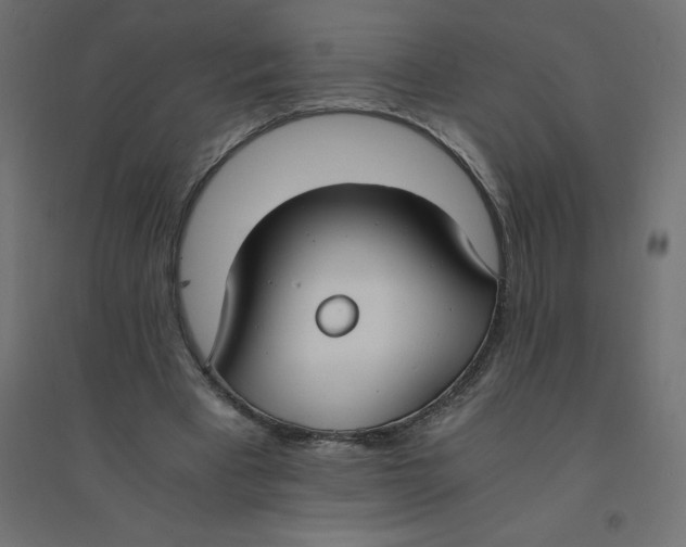 X0000094360393200711241942