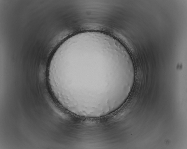 X0000094360394200711241942