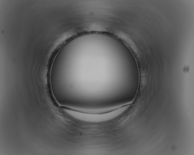 X0000094360395200711241942