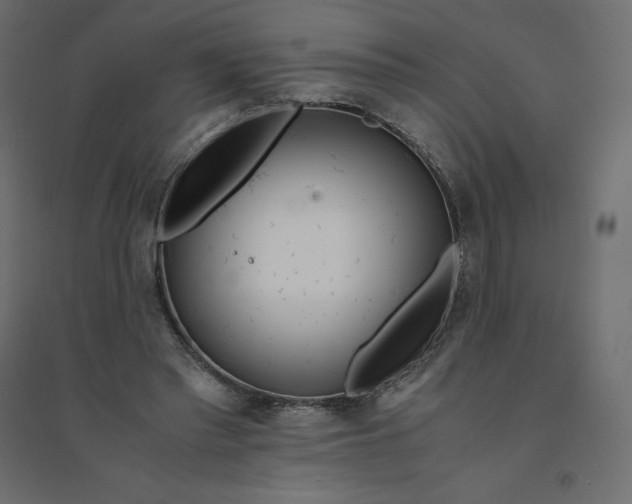 X0000094360397200711241942