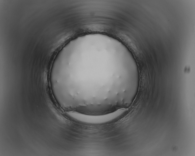 X0000094360398200711241942