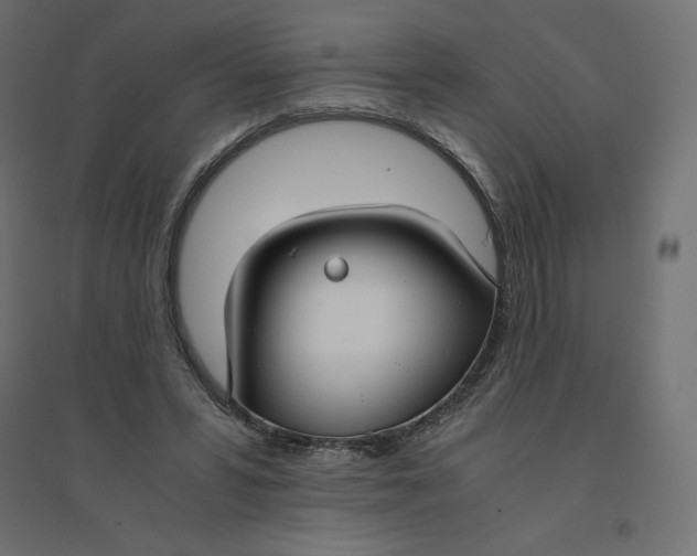 X0000094360399200711241942