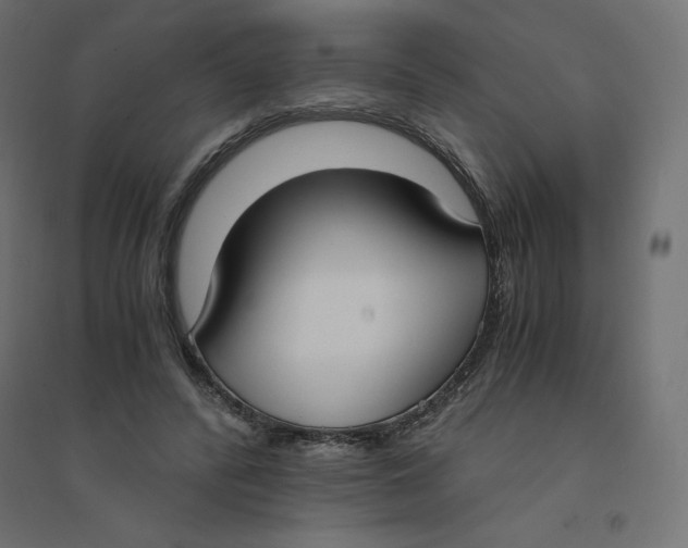 X0000094360400200711241942
