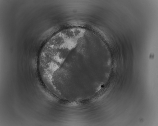 X0000094360402200711241942