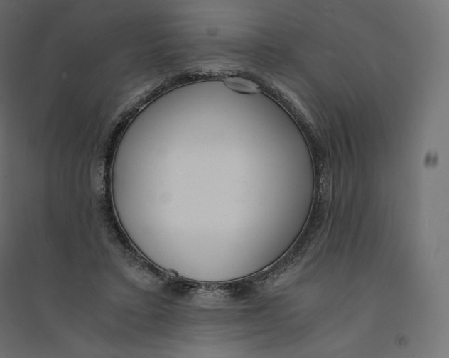 X0000094360403200711241942