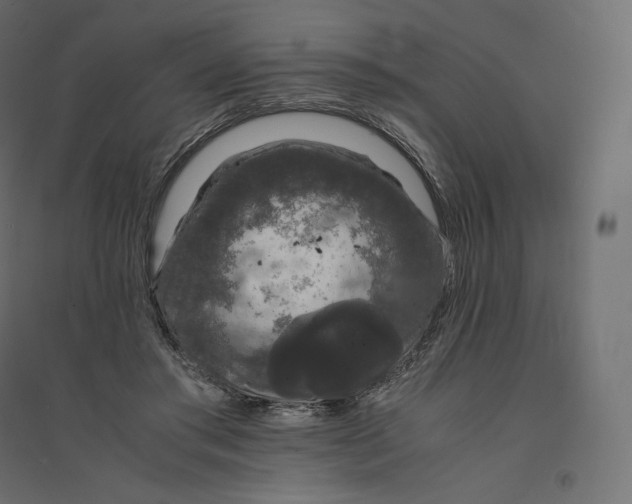 X0000094360405200711241942