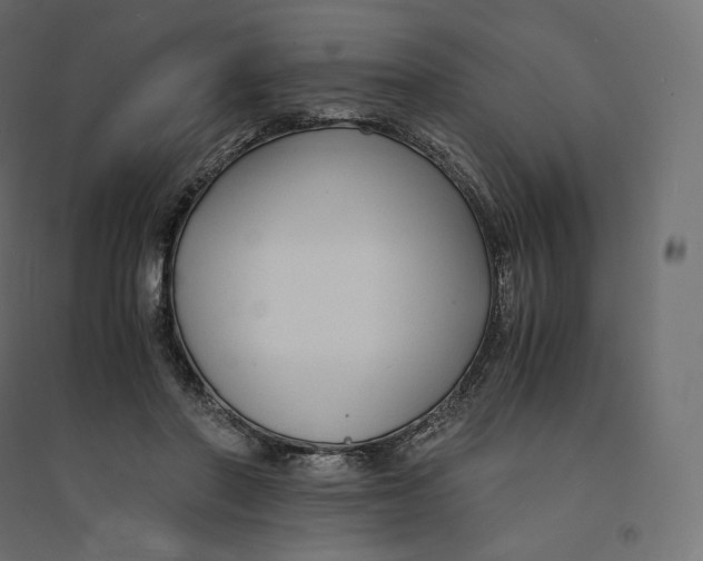 X0000094360406200711241942