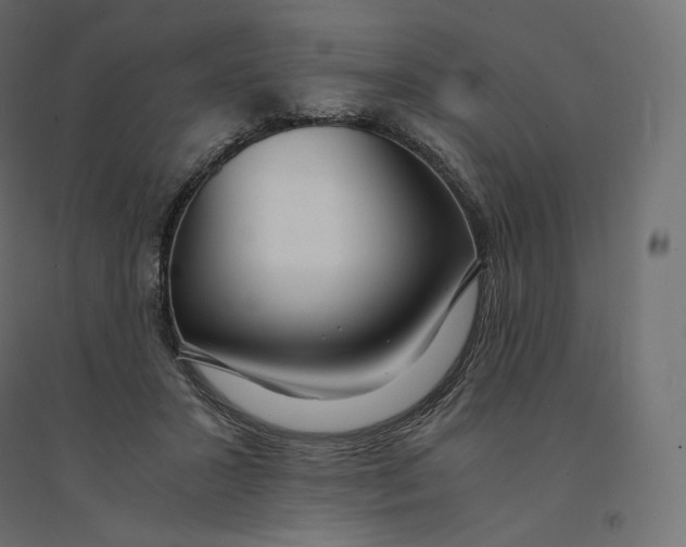 X0000094360407200711241941