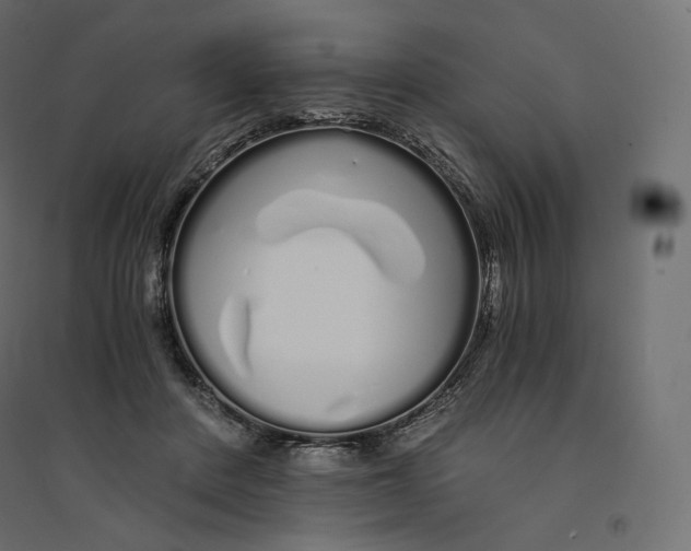 X0000094360408200711241941