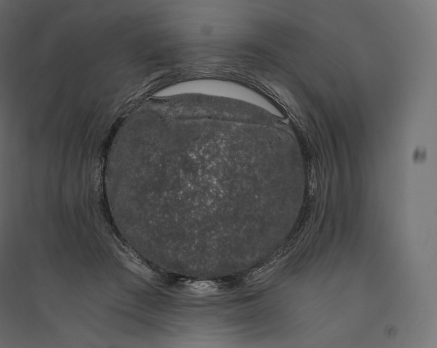 X0000094360409200711241941