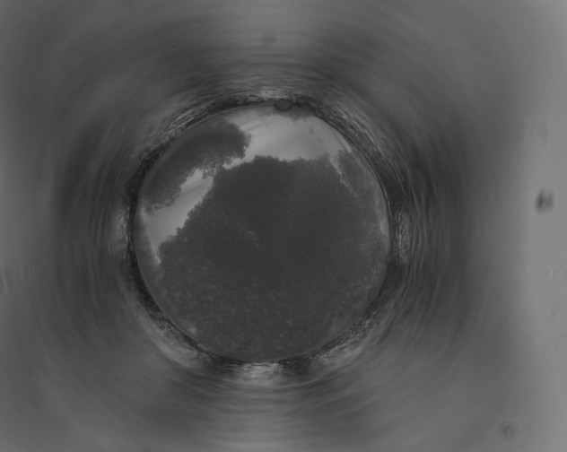 X0000094360410200711241941