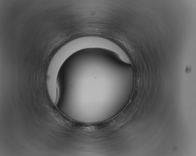 X0000094360411200711241941