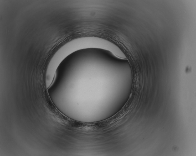 X0000094360412200711241941