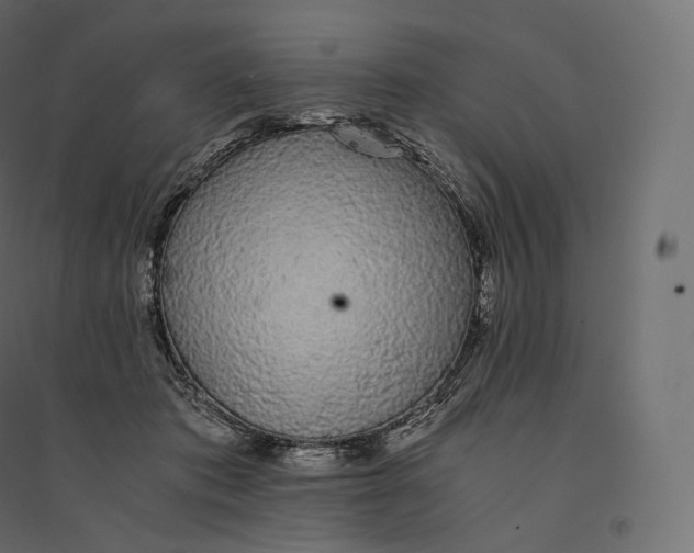 X0000094360413200711241941