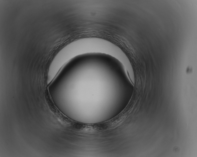 X0000094360416200711241941