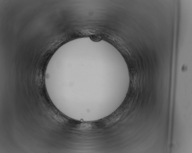 X0000094360418200711241941