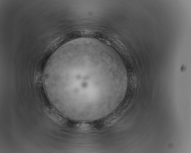 X0000094360419200711241941