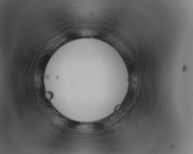 X0000094360422200711241941