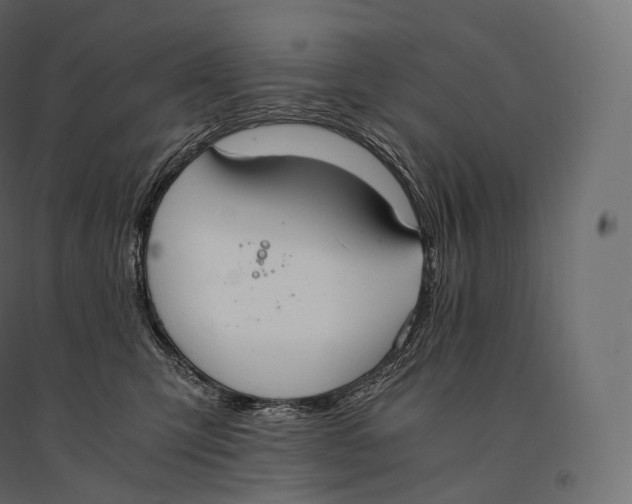 X0000094360423200711241941