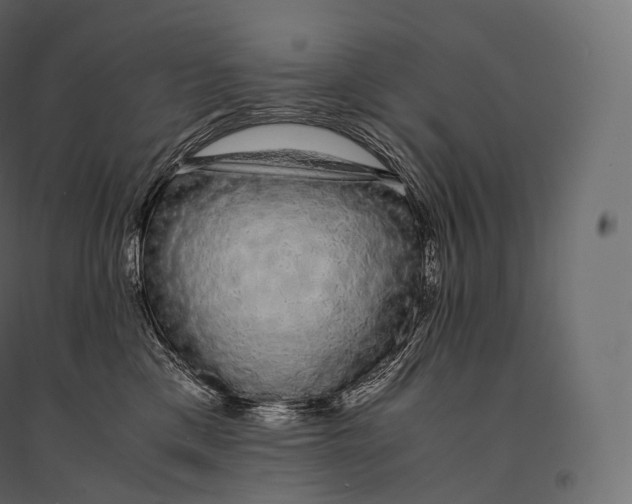 X0000094360425200711241941