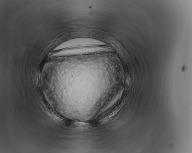 X0000094360429200711241941