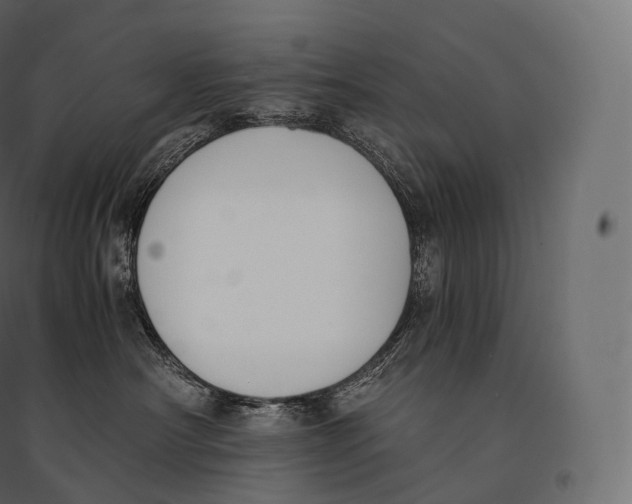 X0000094360430200711241941