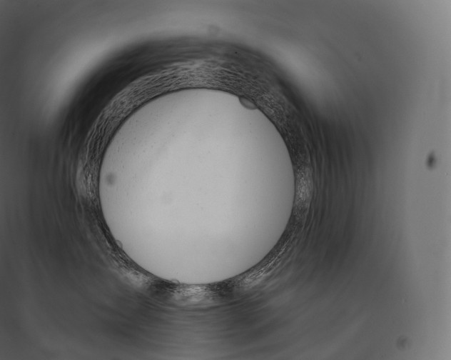X0000094360431200711241941