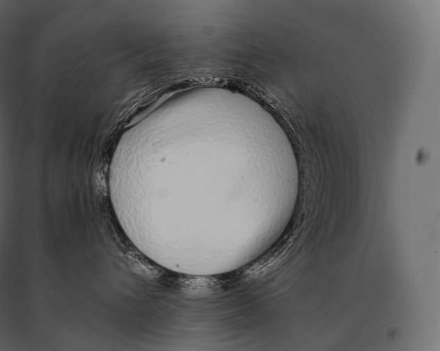 X0000094360432200711241941