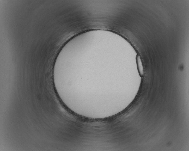 X0000094360433200711241940