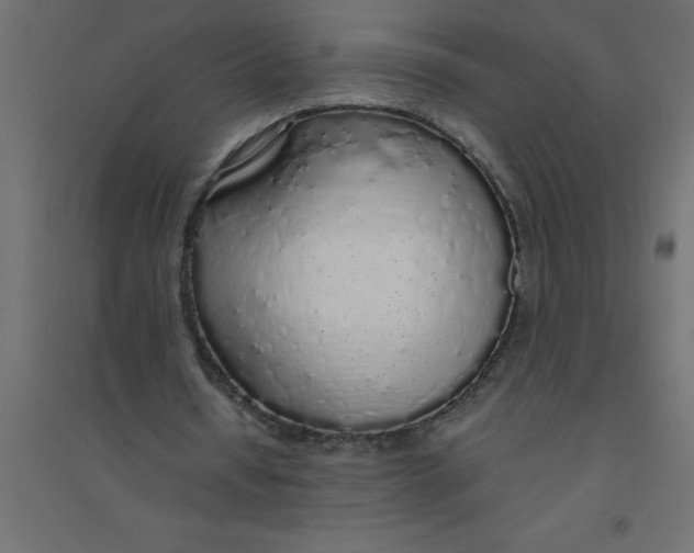 X0000094360434200711241940