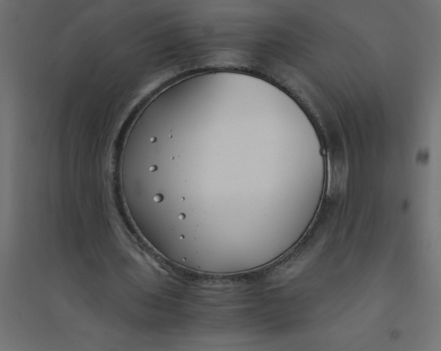 X0000094360435200711241941