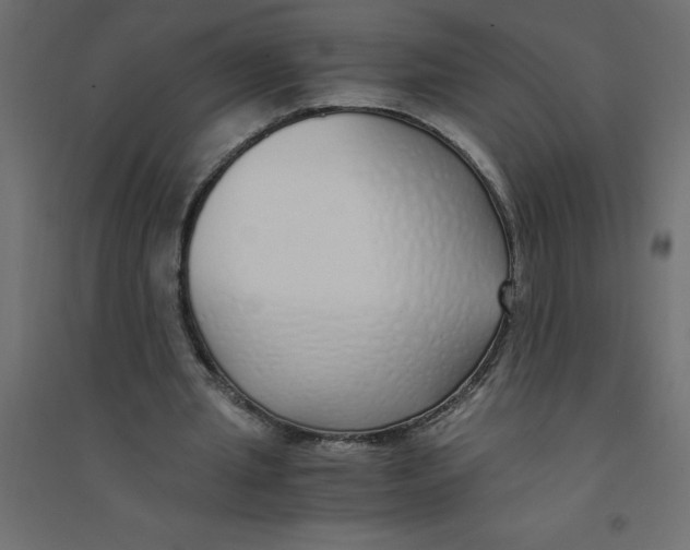 X0000094360437200711241941
