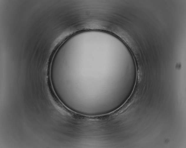 X0000094360438200711241941