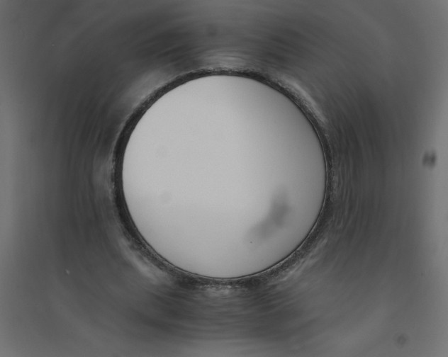 X0000094360439200711241941