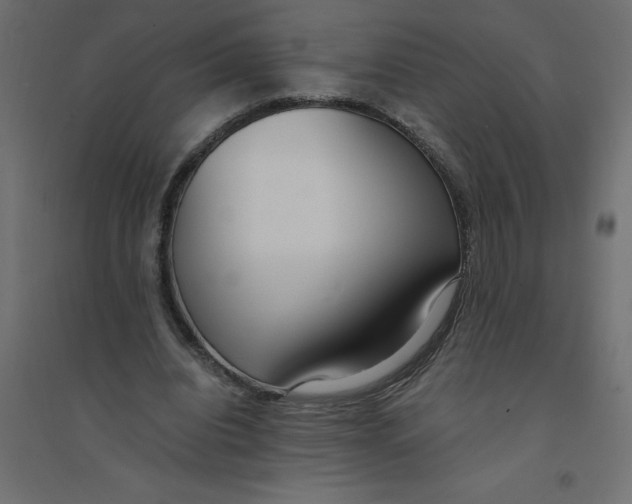 X0000094360440200711241941