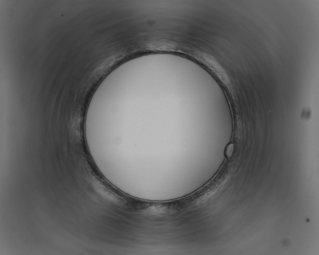 X0000094360441200711241941