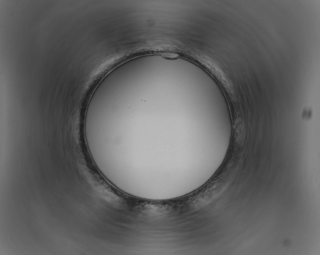 X0000094360442200711241941
