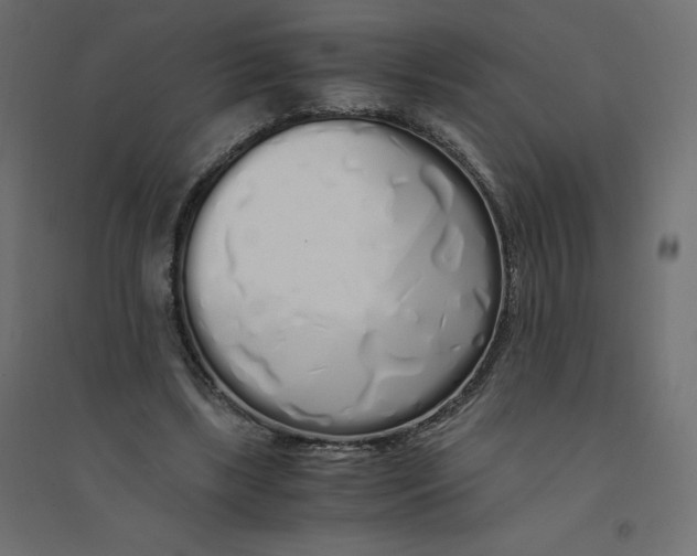 X0000094360443200711241941