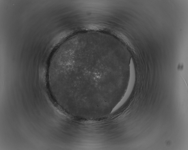 X0000094360444200711241941