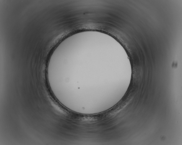 X0000094360445200711241941