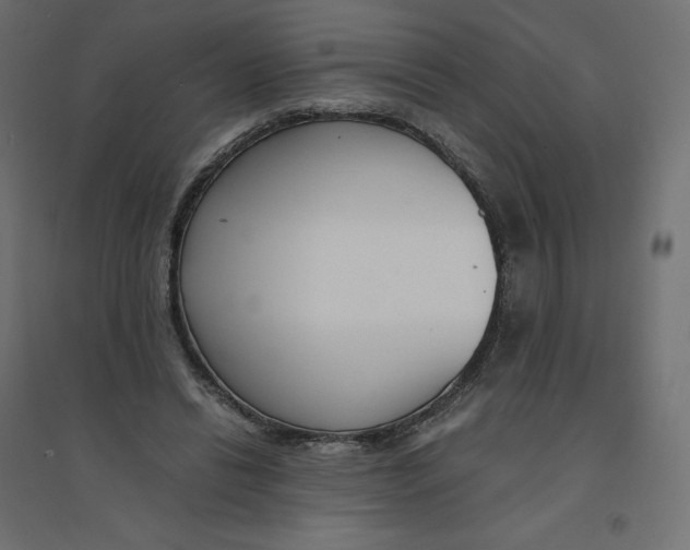 X0000094360446200711241941